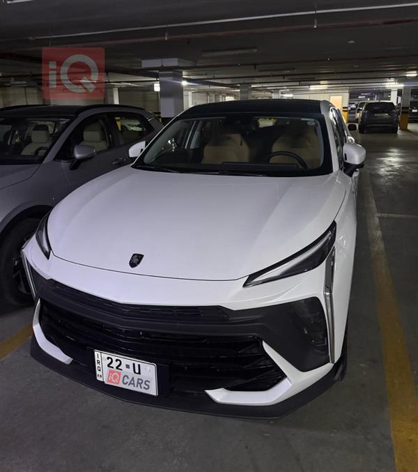 دونج فينج T5 EVO 2024 للبيع في العراق - اربيل